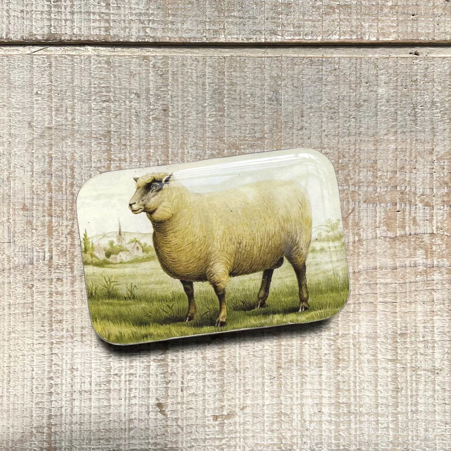 Firefly Notes-Sheep Knitting Notions Tin with Scissors